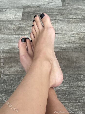 Sasha Foxxx