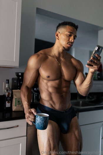 theshawnraymond